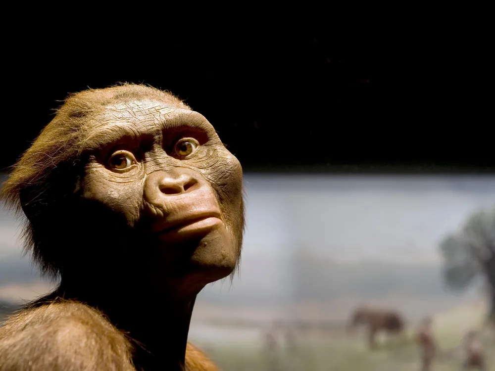 Lucy (Australopithecus afarensis)